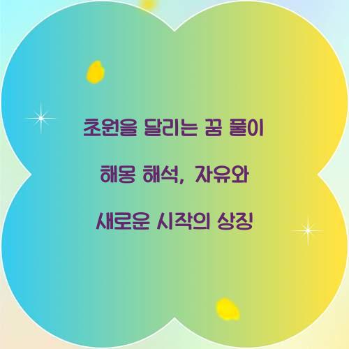 초원을 달리는 꿈 풀이 해몽 해석