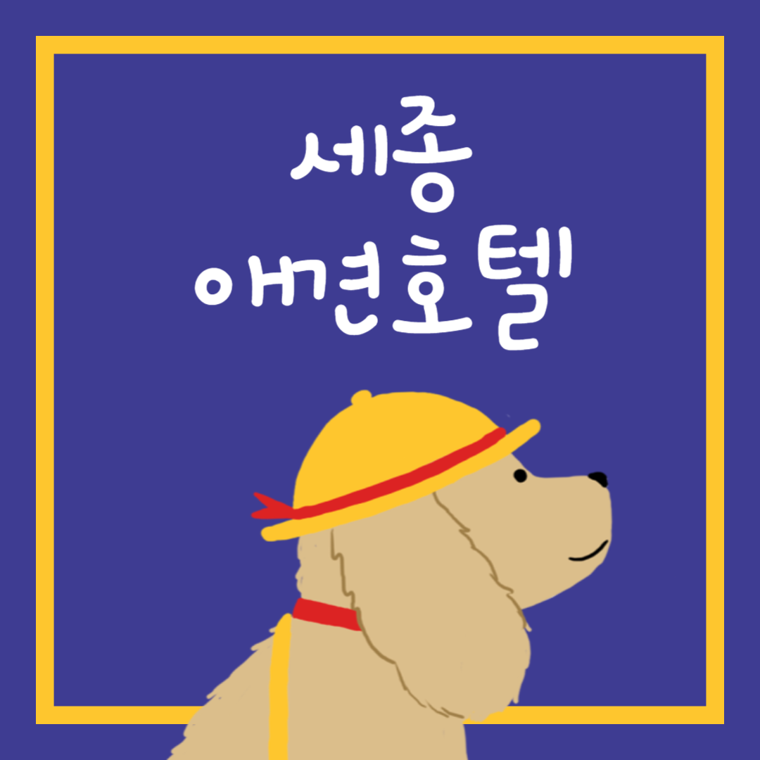 세종 애견호텔