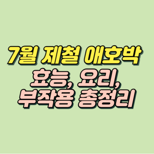 7월 제철음식 애호박