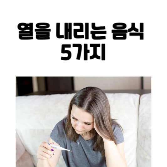 열을 내리는 음식