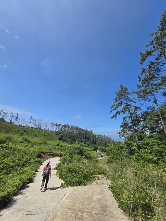 “꾸지나무골해변에서 학암포까지”