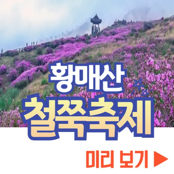 황매산 철쭉축제