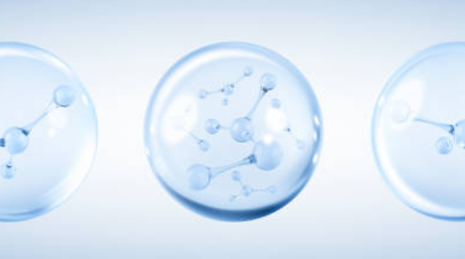 콜라겐 많은 음식, 부작용, 콜라겐의 효능 총정리 (2024ver)