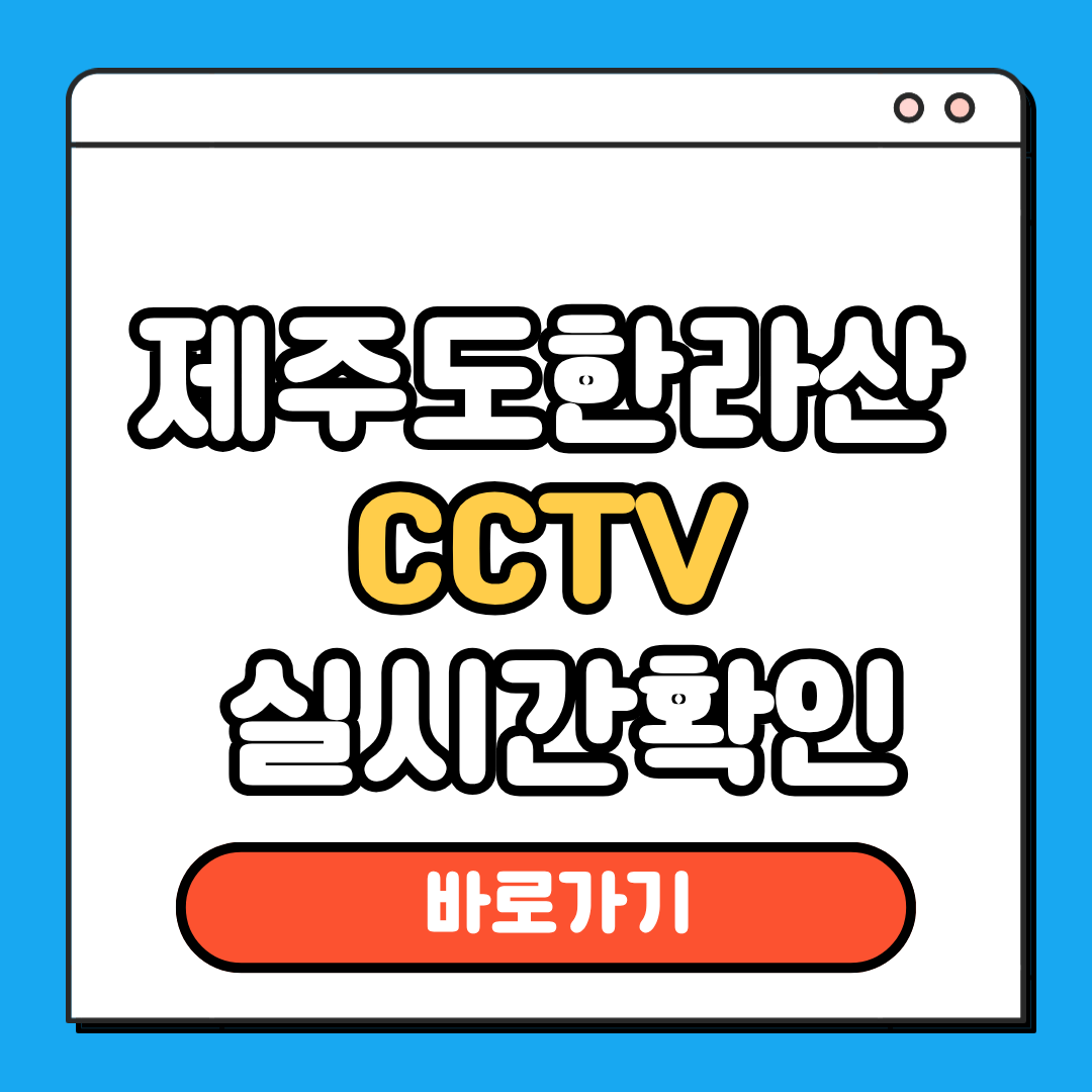 제주도한라산 cctv