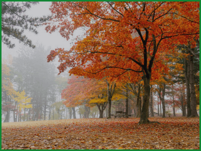 2024년 설악산의 단풍 절정 시기, 추천 코스