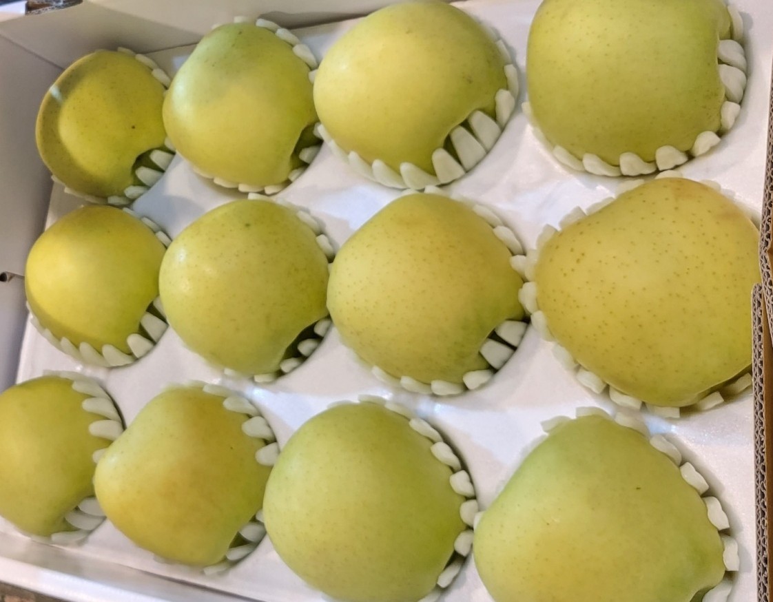 시나노골드 선물용 상자