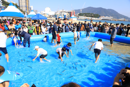 고등어축제