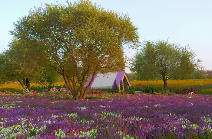 순천만 국가정원 (출처:한국관광공사)