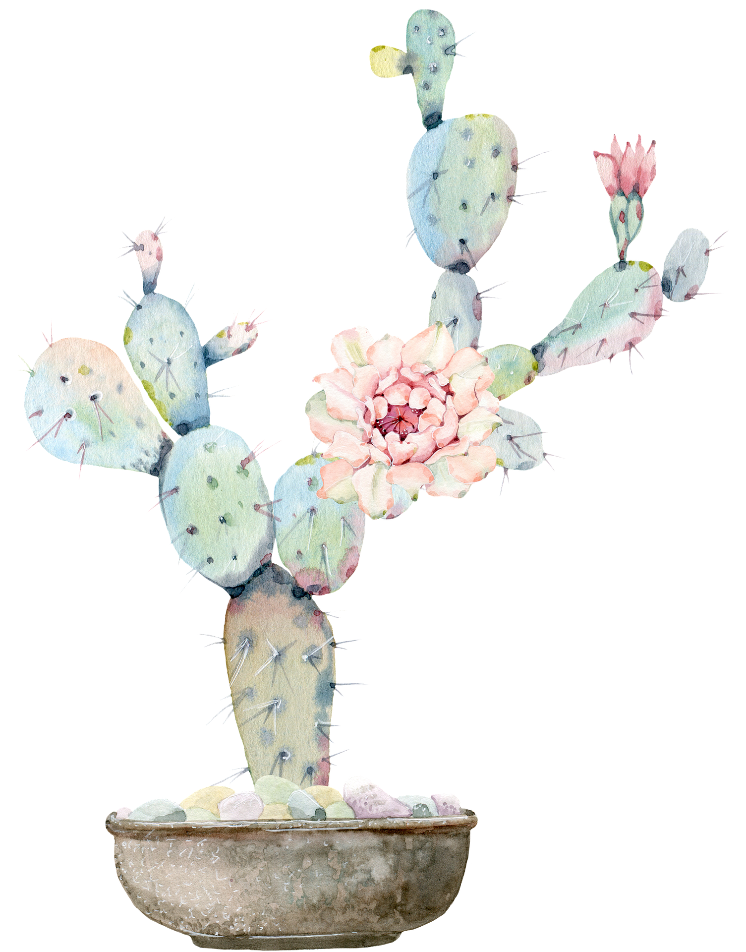 치핵&middot;치열&middot;치루 차이&amp;#44; 헷갈리는 항문질환 정리