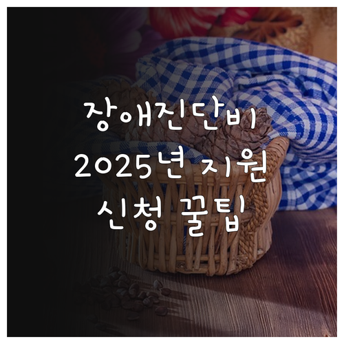 2025년 장애인 등록 진단서 발급비..