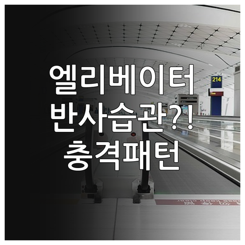 엘리베이터 이용자의 반사적 습관과 패..