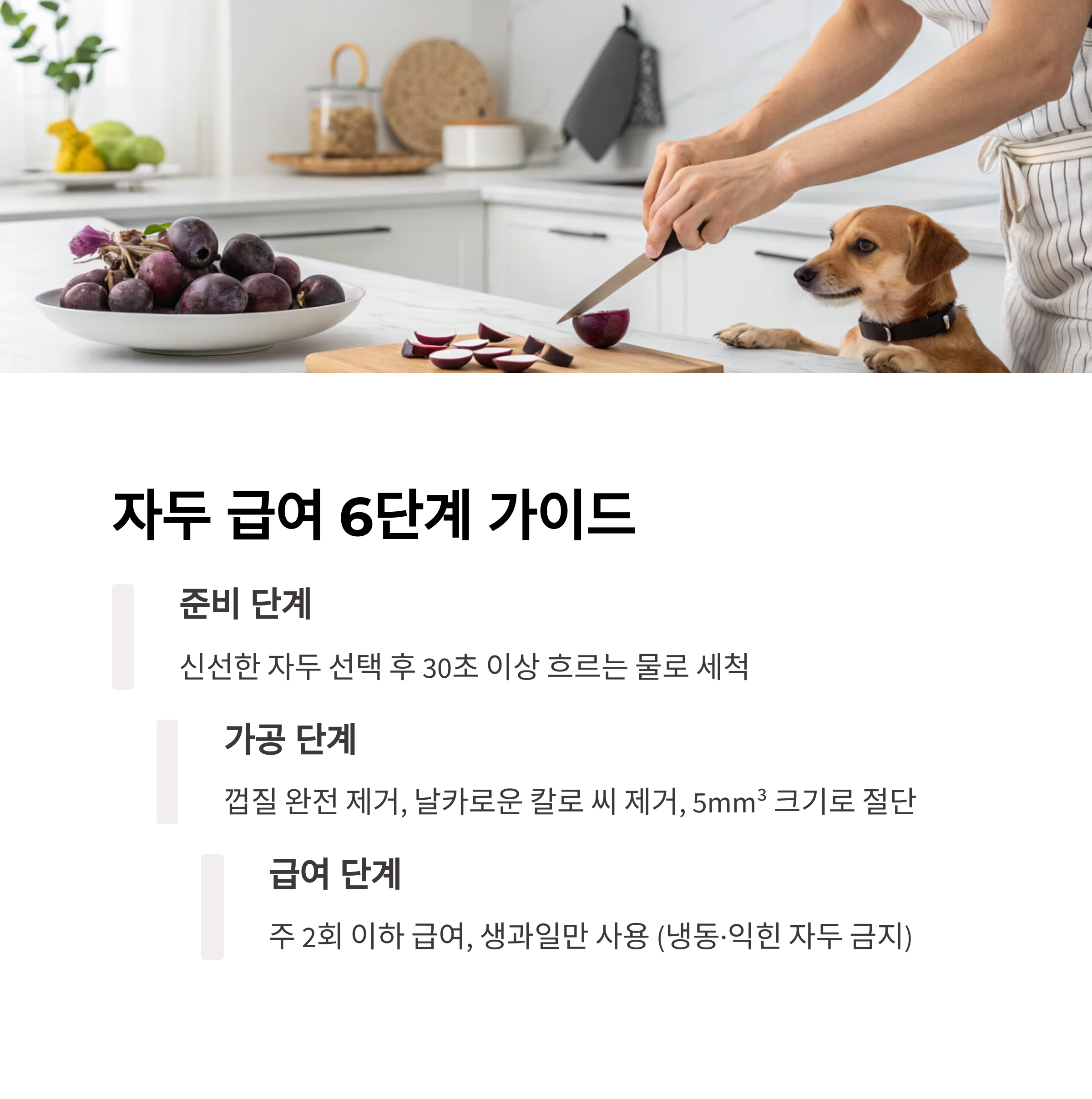 자두 급여 6단계 가이드