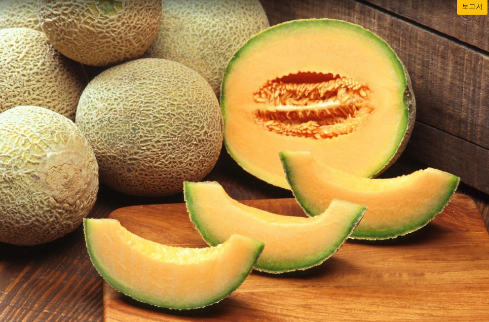멜론_melon