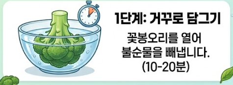 브로콜리 씻는방법