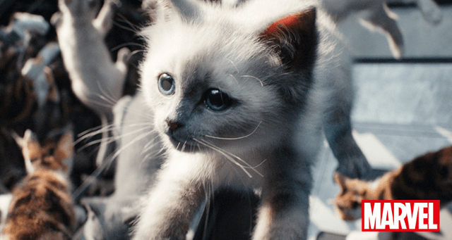 마블스 스틸 공개