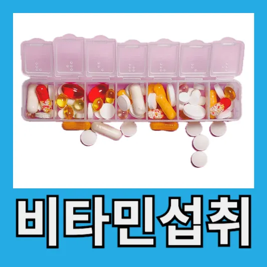 비타민 B와 C 섭취