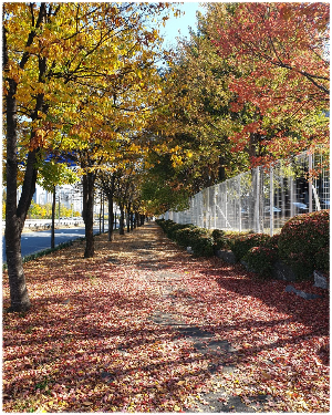 도솔산