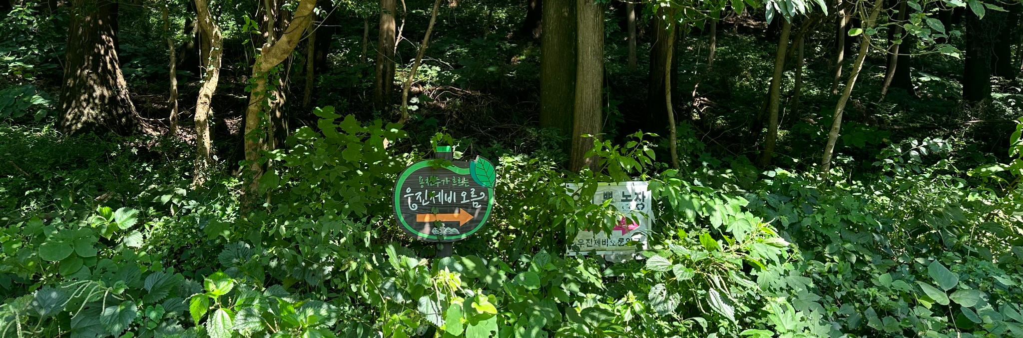 우진제비 오름 가는길