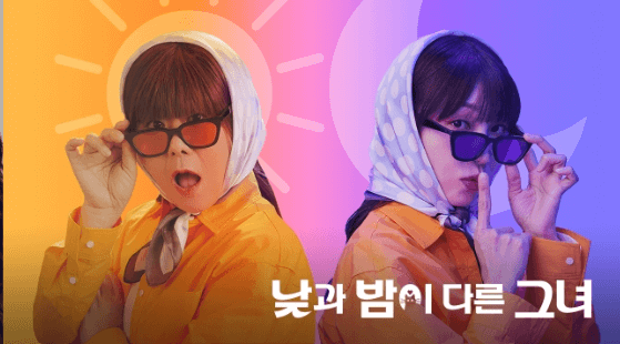 📺 유튜브 JTBC 채널