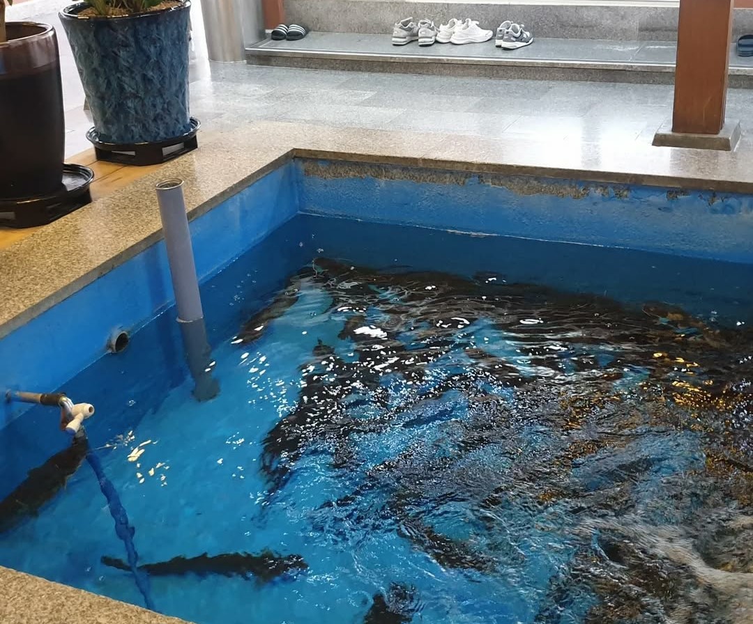 임진각 장어집 반구정 나루터집 내부