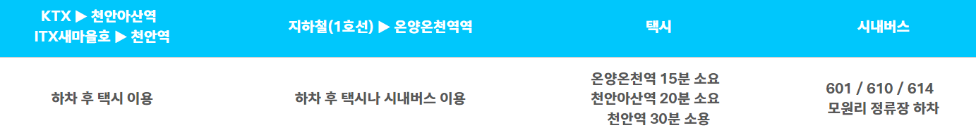 억만송이 봄꽃대향연 튤립 수선화 축제