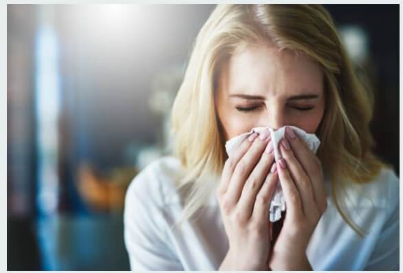 면역력 높이는 영양제 추천 BEST 5