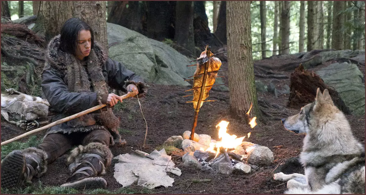 케다와 알파의 동행시작