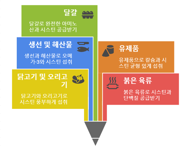 시스틴 함유 음식