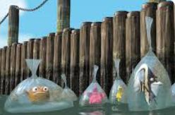 니모를 찿아서 영화 속 한 장면