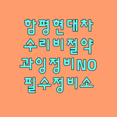 함평군 현대차 오너를 위한 정비 네트..
