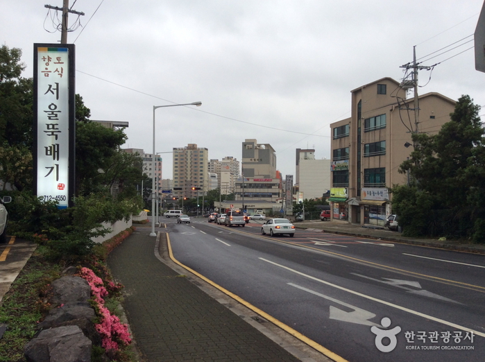 제주 비체올린 능소화축제