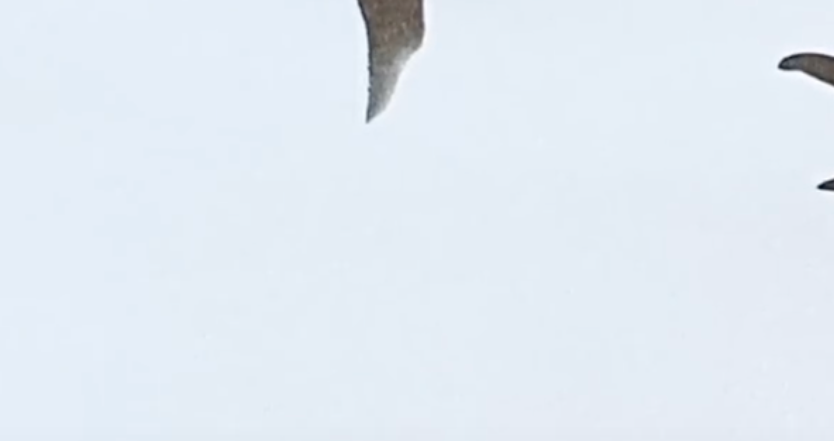 축의금 봉투 쓰는 법