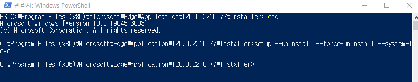 제거 명령어 입력