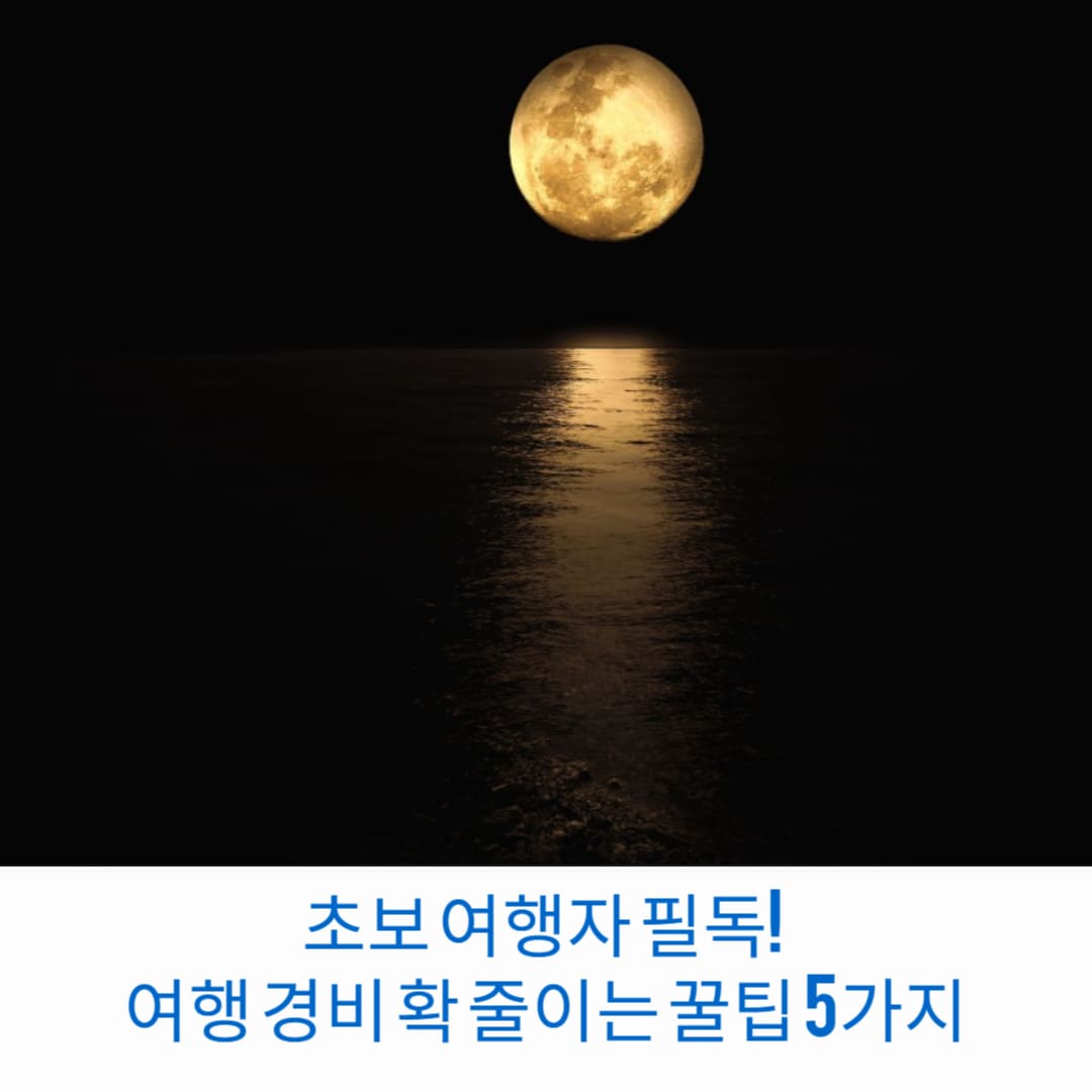 초보-여행자-필독-여행-경비-확-줄이는-꿀팁-5가지-썸네일