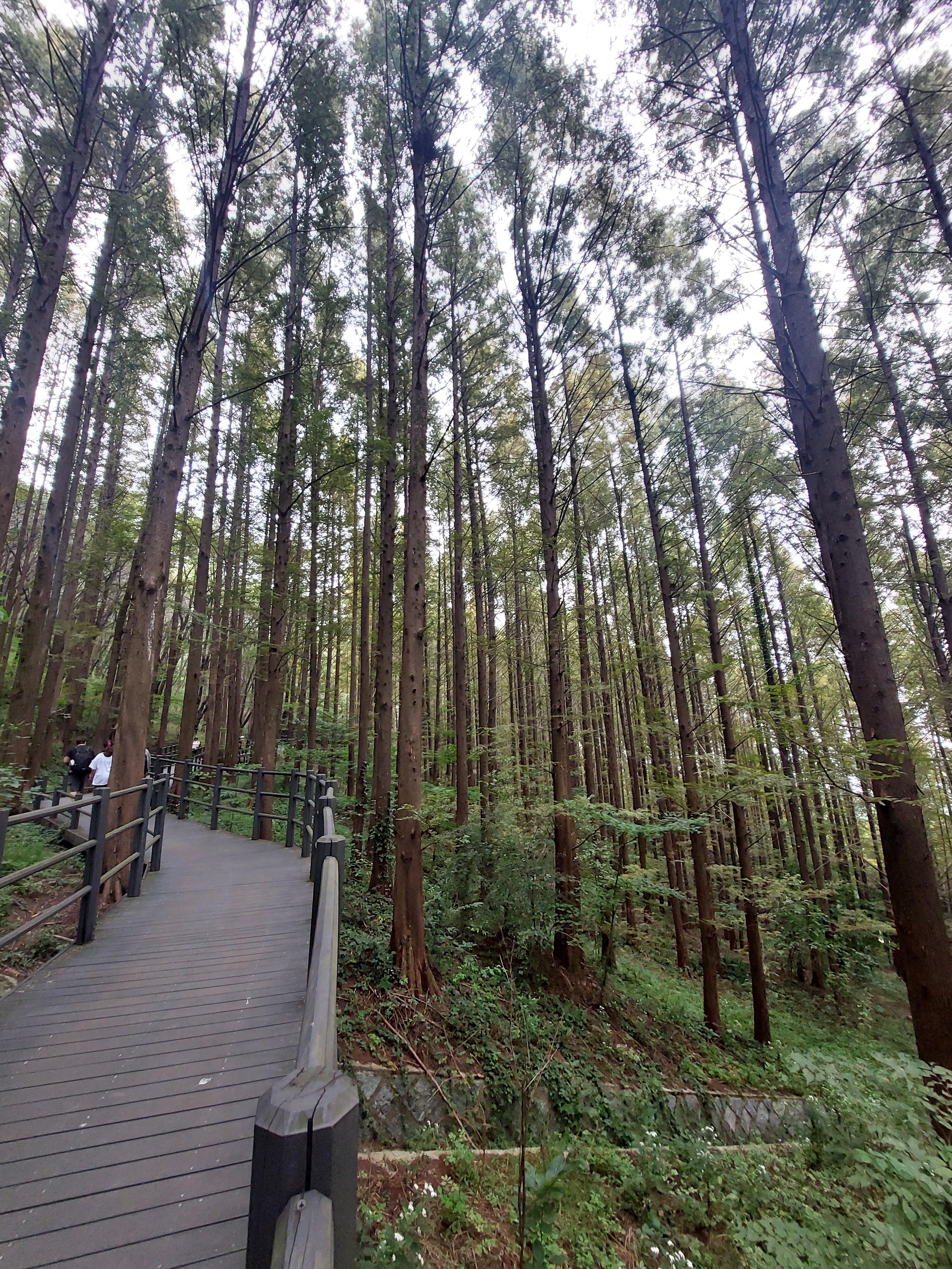안산