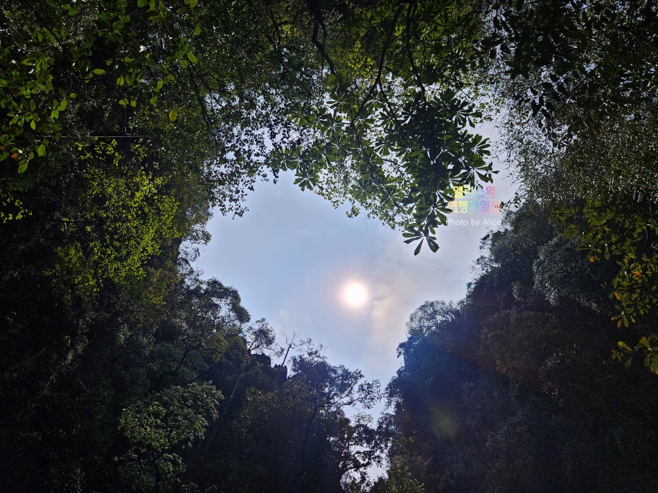 제임스 본드섬 & 팡응아 팡아만 베이 투어 솔직후기 + 가격 할인예약 푸켓 가볼만한곳