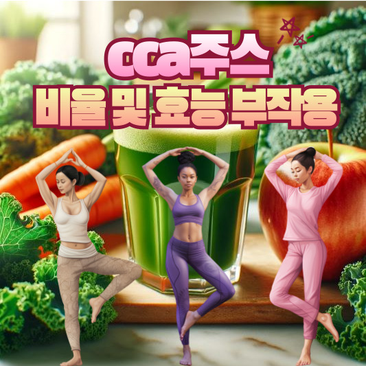 cca주스 비율