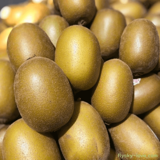 장 건강에 좋은 골드키위