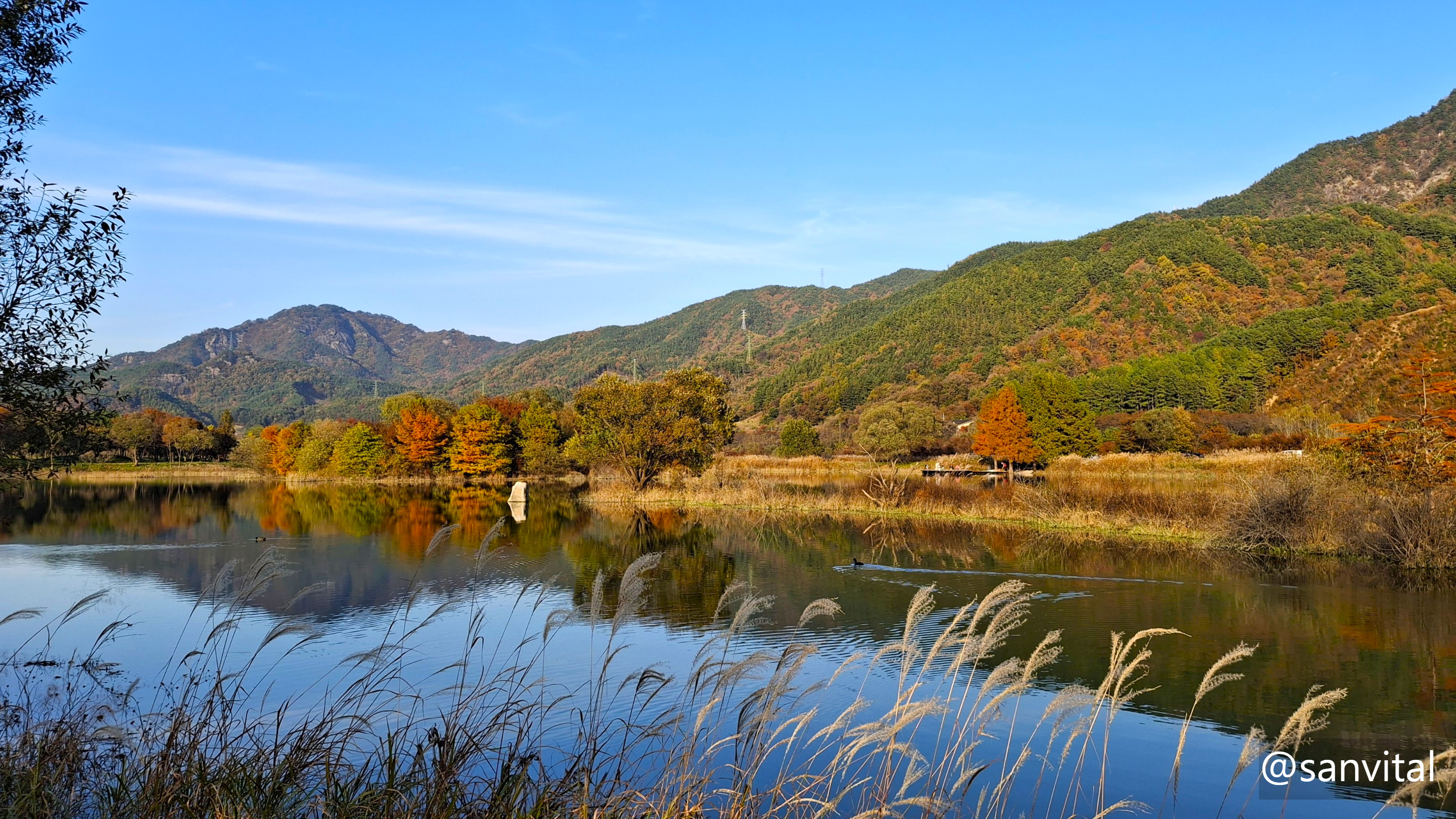 용담호 주천생태공원 가을단풍