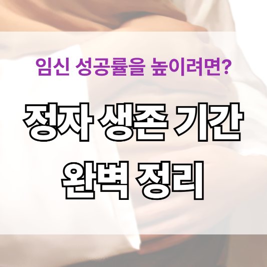 정자 생존 기간, 임신 가능성에 어떤 영향을 줄까?
