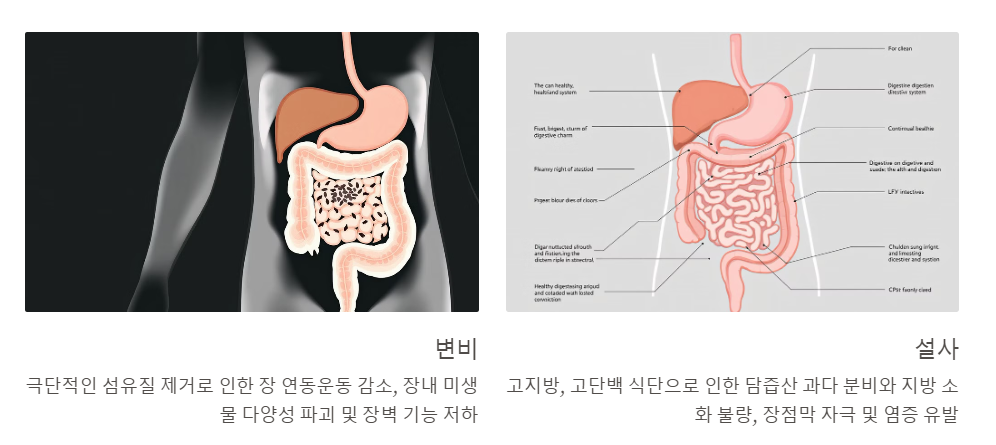 장건강 문제