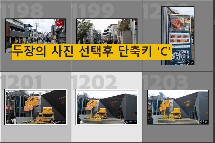 Compare view 실행 방법