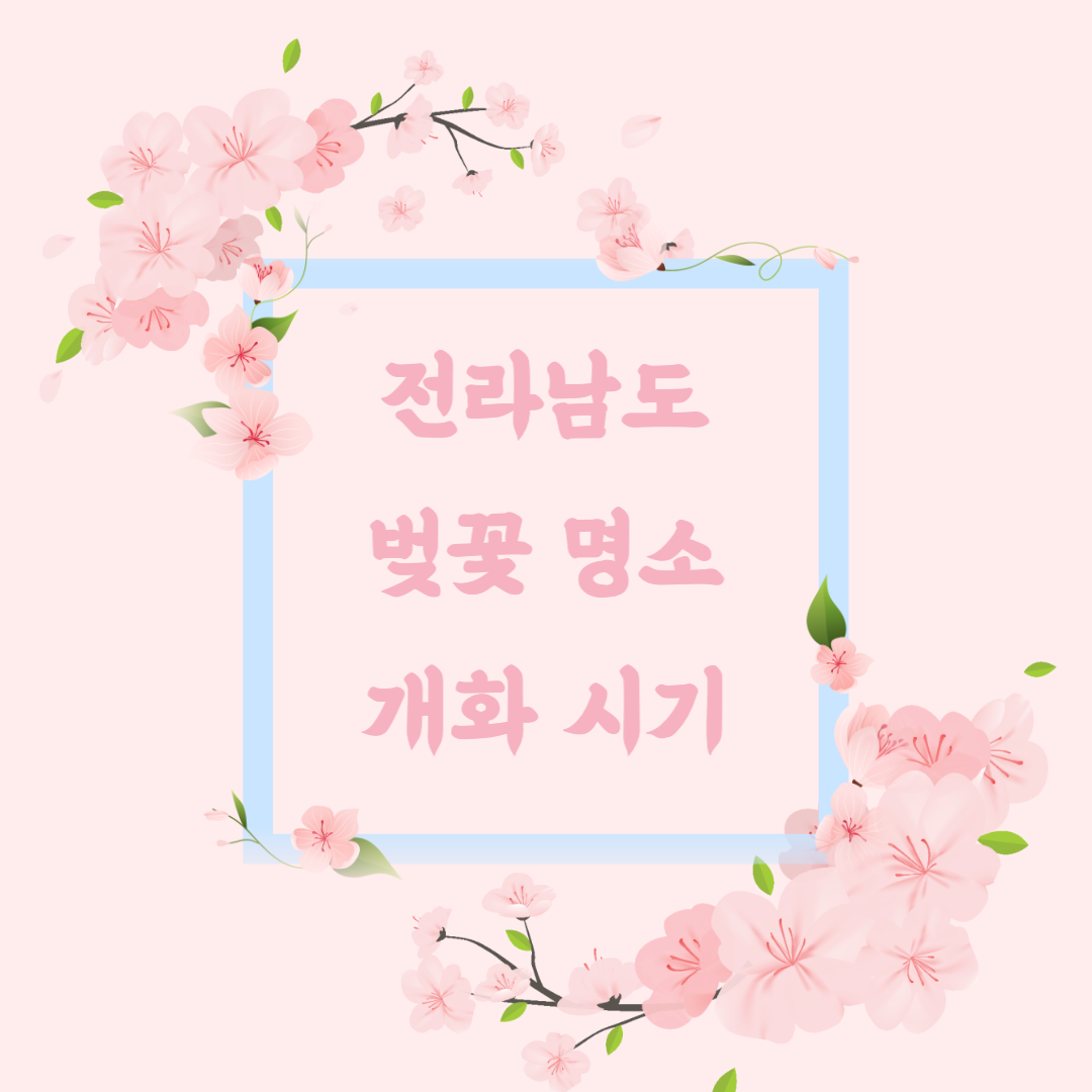 전라남도 벚꽃명소 개화시기