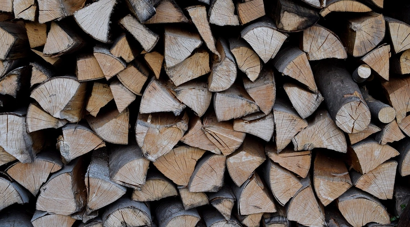 벡터 미분의 기초