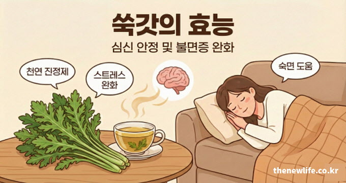 쑥갓의 효능 심신 안정 및 불면증 완화 (천연 진정제 작용 및 스트레스 해소 숙면 유도)