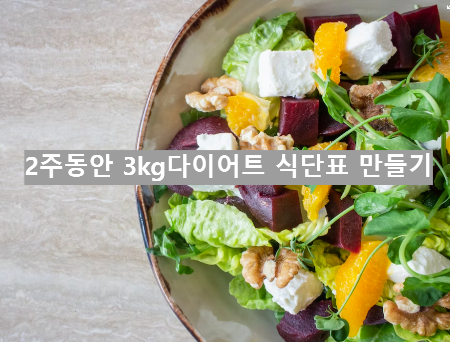 단백질-다이어트-프로그램-식단표-식이요법만들기