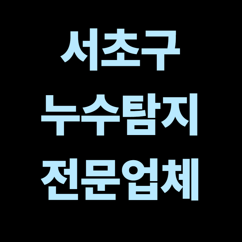 서초구 누수탐지 전문업체
