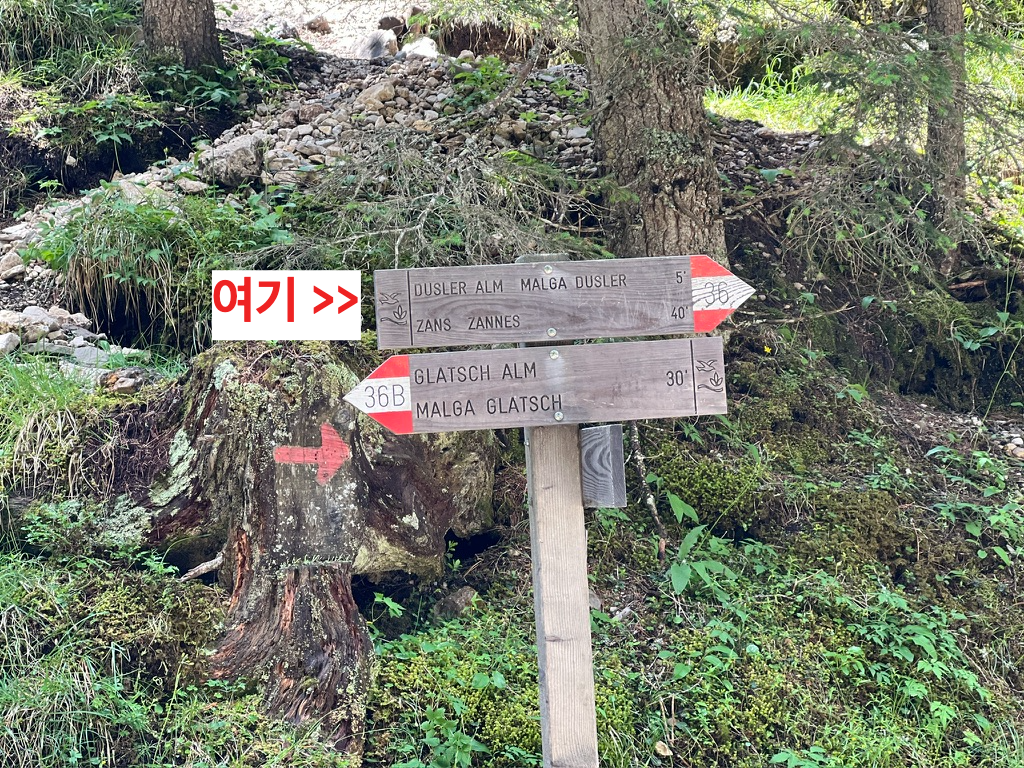 DUSLER ALM MALGA DUSLER 36 오들레 하이킹 하산 표지판 안내