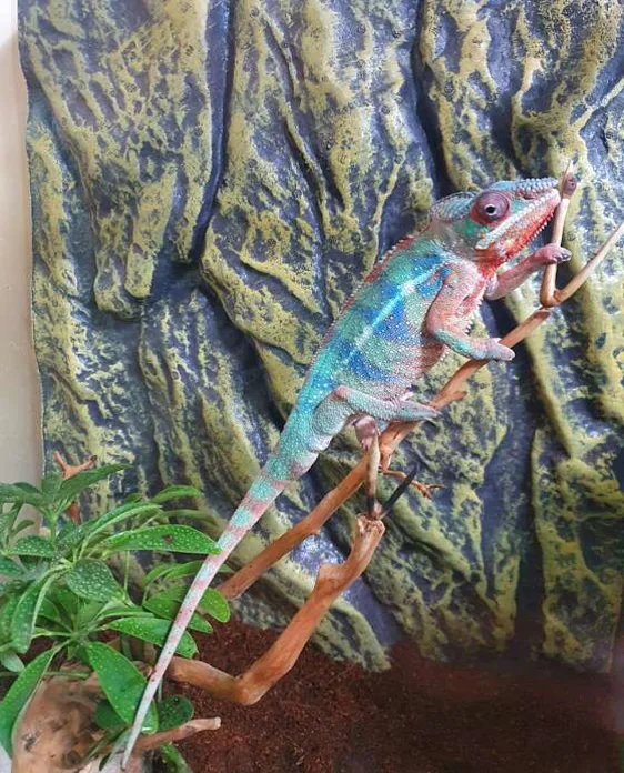 버그밀 곤충체험관