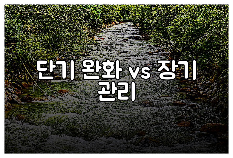 단기 완화 vs 장기 관리